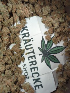 Amnesia Haze (German Grow)